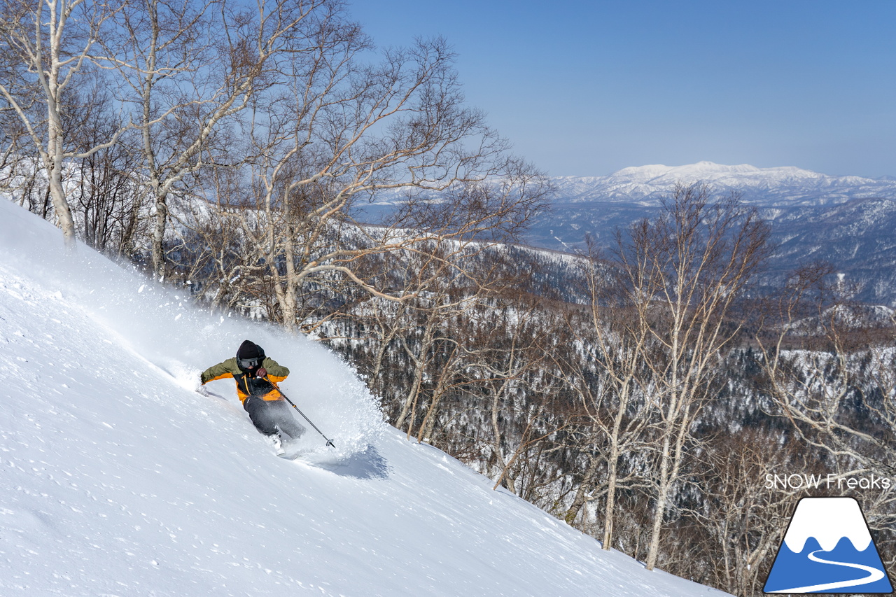 大雪山層雲峡・黒岳ロープウェイスキー場｜只今の積雪 360cm！『神々の遊ぶ庭』に降り積もる雪は、やはり別物でした(^^)v